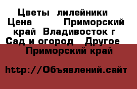 Цветы  лилейники › Цена ­ 100 - Приморский край, Владивосток г. Сад и огород » Другое   . Приморский край